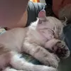 robphilbrick - @robphilbrick - TikTok