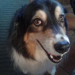 Robin Pierre - @robin.pierre.750 - Instagram