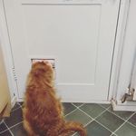 Robin Pilcher - @stonebasher - Instagram