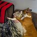 Robin Bandy Piper - Facebook