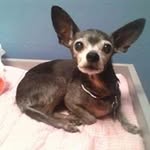 Robin Piper - @rpiper560 - Instagram