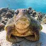 Robin Piper - @robinpip_it - Instagram