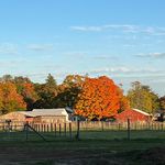 Robin Ventrice Plourde - @whipcityanimalsanctuary - Instagram