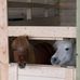 Robin Ventrice Plourde - Facebook