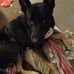 Robin Plummer - Facebook