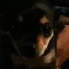 robinplummer257 - @robinplummer257 - TikTok