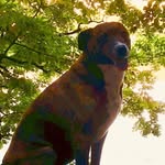 Robin Coulombe - @robinplunkettc - Instagram