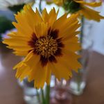 Robin Allen Poulter - @robinallenpoulter - Instagram