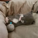 Robin Prather - @robinprather132019 - Instagram