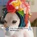 Robyn Prescott - Facebook
