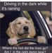 Robin Purnell - Facebook