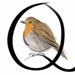 Quill & Robin - @quillandrobin - Instagram