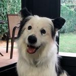 Robin Quiroga ayesa - @robinakapanda - Instagram
