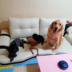 robin.rabong - @robin.rabong - Instagram