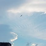 Robin Rains Nftjg - @nazirhossin92 - Instagram