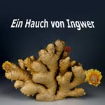 Robin/Ralph/Philipp - @einhauchvoningwer - Instagram