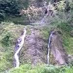 Robin Rampaul - @rampaulrobin - Instagram