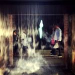 Robin Randolph - @goflantmystxoic449 - Instagram
