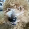 RobinRandolph - @devarhzd6z8 - TikTok