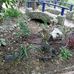 Robin Rawson - Facebook