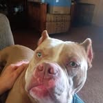 Robin Risden Reagan - @robinleereagan - Instagram