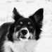 Robin Reasoner - Facebook