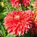 Robin Reeder - Facebook