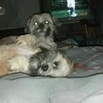 Robin Reifsnider Robinson - @reifsniderrobin - Instagram