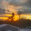 Robin_Rhodes - @robinrhodes93 - TikTok