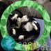 Robin Rice - Facebook