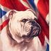 Robin Rice - Facebook