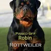 Robin Rice - @robinrice3 - TikTok
