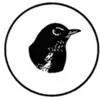 Robin Rice Gallery - @robinricegallery - TikTok