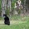 Robin Rich - @robin.richmen - TikTok