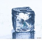 Robin Riehl - @icefail12 - Instagram