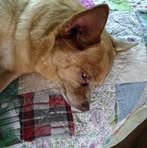 Robin Rimes - Facebook