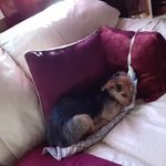 Robin Ring - @robinring2 - Instagram