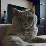 Ripley - @ripleyrobinsz00 - Instagram