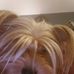 Robin Roach - Facebook