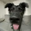 robinrobb - @robinnrobb - TikTok