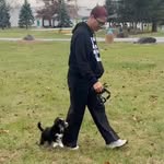 Robin & Rocco (JVET PUPPY) - @roandrocco - Instagram