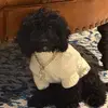 Rocco - @theroccorobin - TikTok