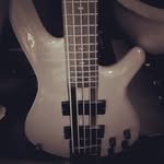 Robinson Rocha - @robin_rocha_bass - Instagram