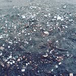 robin roden - @royle_robin - Instagram