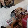Robin Rohrer - @robin.rohrer7 - TikTok