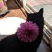 Robin Rooks Killian - Facebook