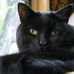 Robin Rosen - Facebook