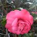 Robin Rosser - Facebook