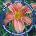 Robin Rosser - Facebook