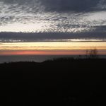 Robin Royall - @royall5050 - Instagram